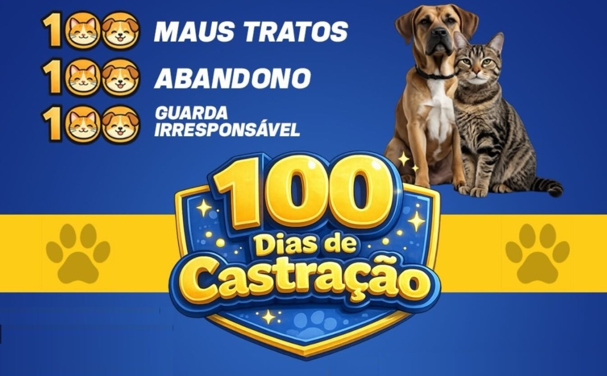Naviraí abriu campanha 100 dias de castração nesta segunda-feira