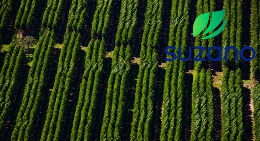 Suzano abre sete processos seletivos para Mato Grosso do Sul