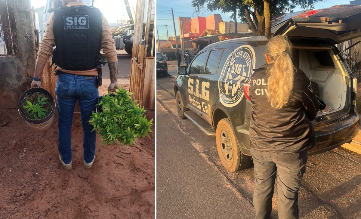 Em Naviraí, Polícia Civil deflagra II fase da Operação Elo Oculto e prende dois por tráfico de drogas