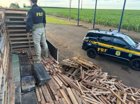 Cães encontram 1,1 tonelada de maconha escondida em carreta