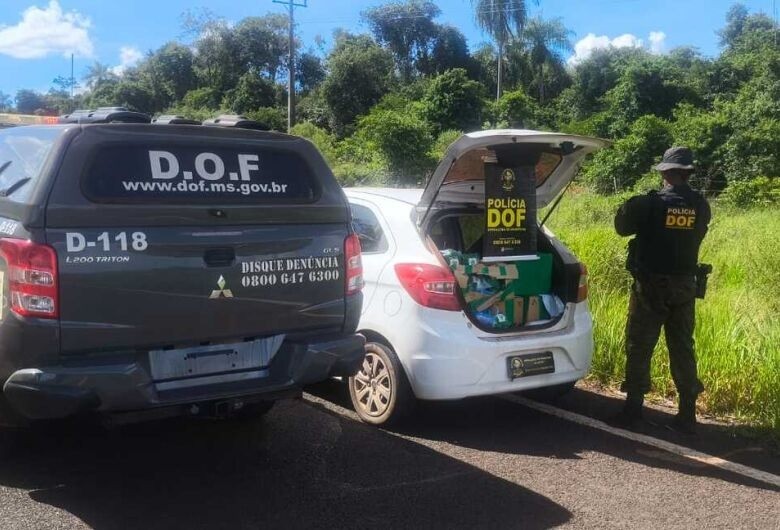 Na MS-295 em Tacuru, DOF apreende maconha e skunk que seriam entregues em Naviraí
