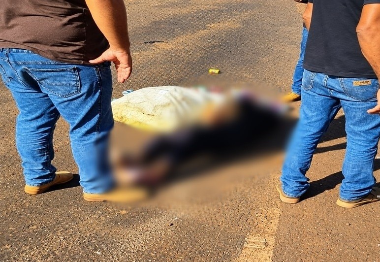 Coletora de recicláveis morre atropelada por carreta na BR-267