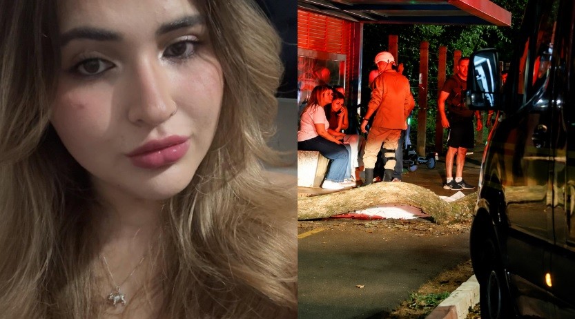Na Capital, jovem de 23 anos morre atingida por galho de árvore 