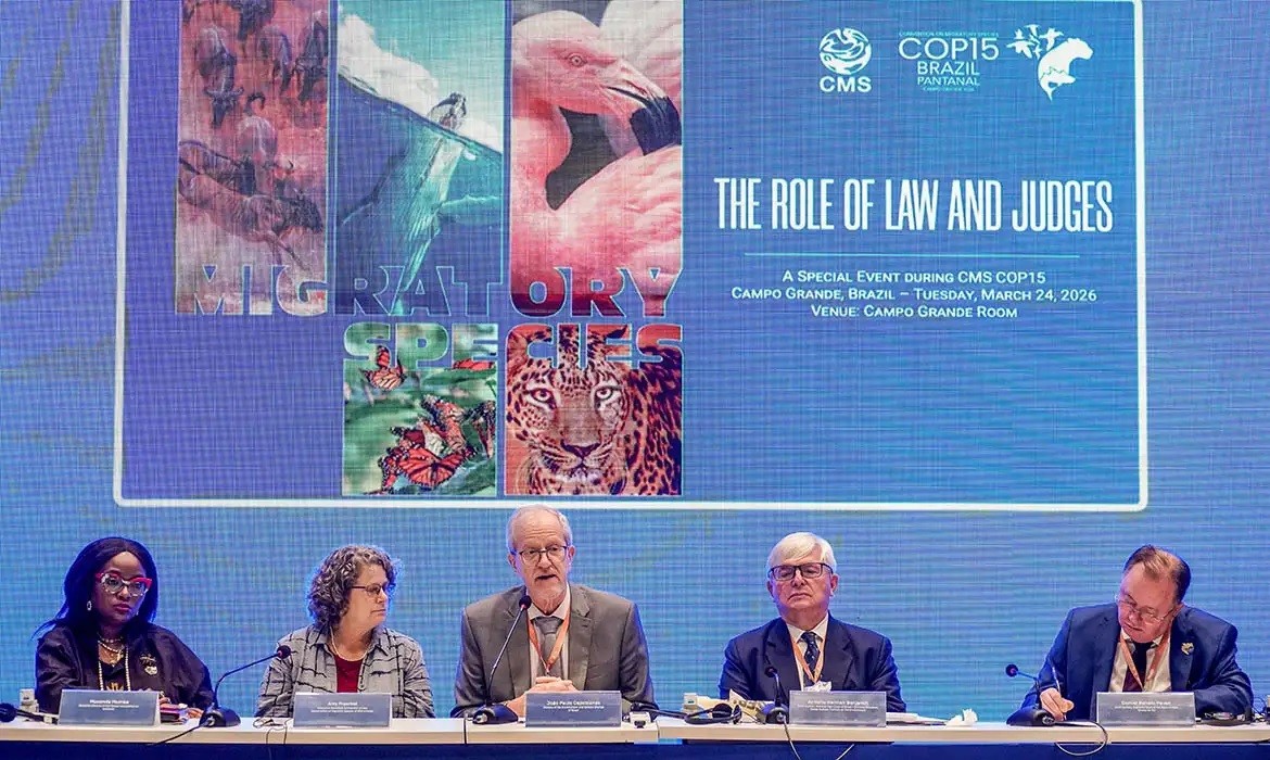 Bonito vai sediar a primeira vara ambiental com foco no Pantanal