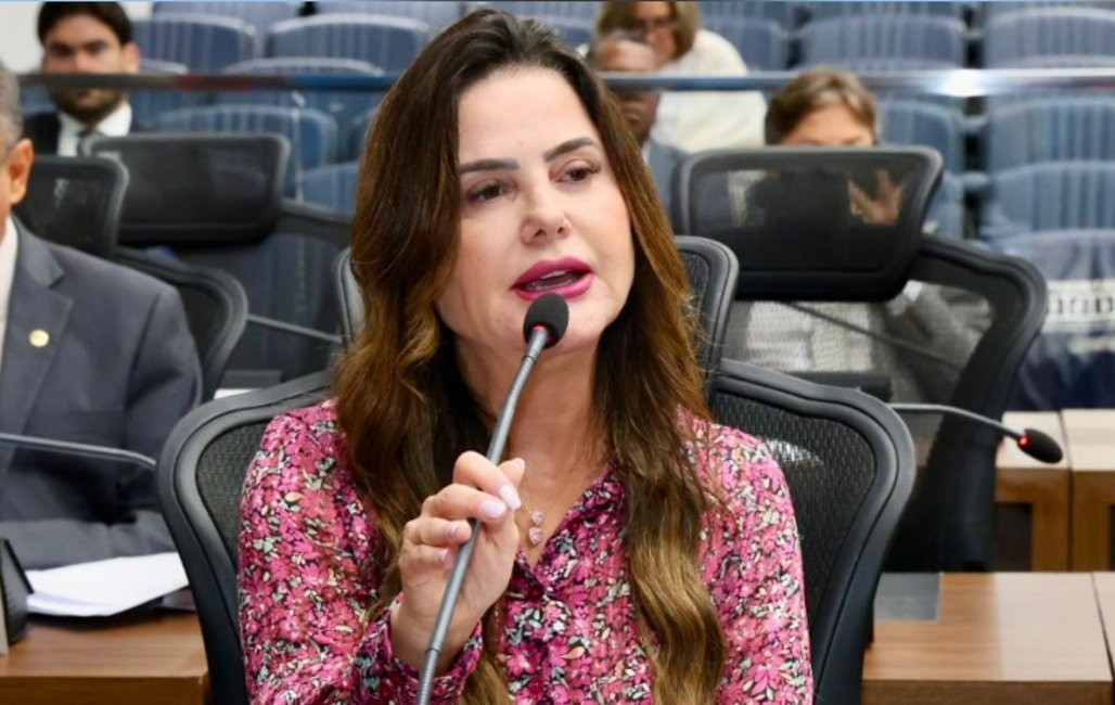 Mara Caseiro propõe climatização em escola de Dois Irmãos do Buriti   