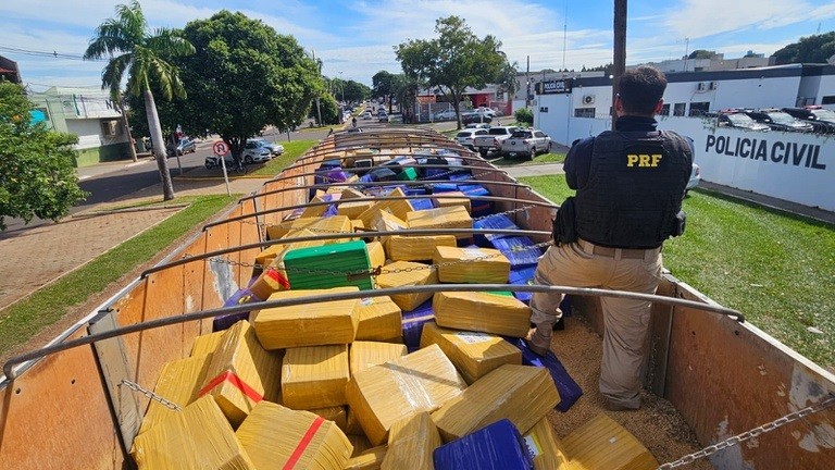PRF apreende 8,3 toneladas de maconha na BR-163 em Naviraí 