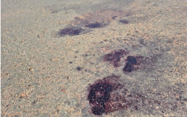 Suspeito de roubo em Terenos é morto pela PM no Nova Campo Grande