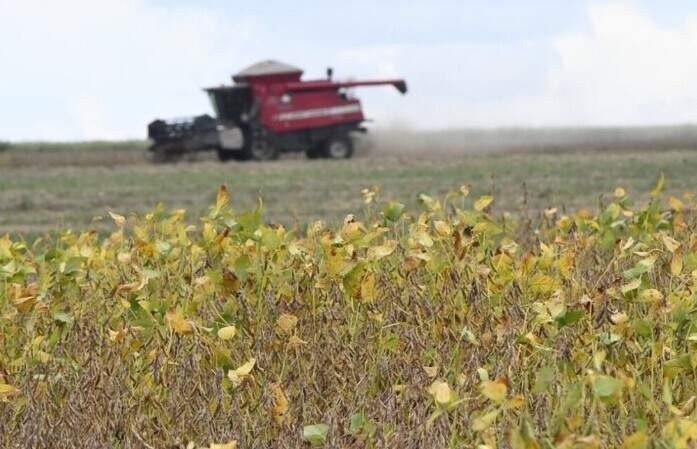 Escalada da guerra no Irã encarece fertilizantes e ameaça safra 2026/27 em MS