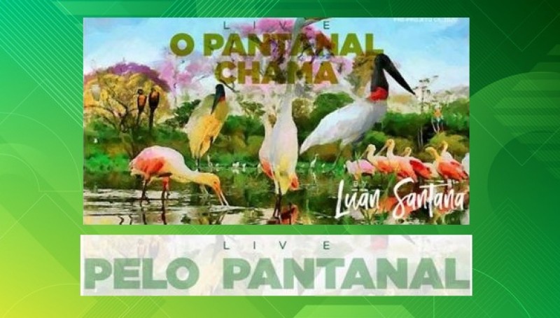 Sul-mato-grossense, Luan Santana fará ao vivo no Pantanal para denunciar queimadas