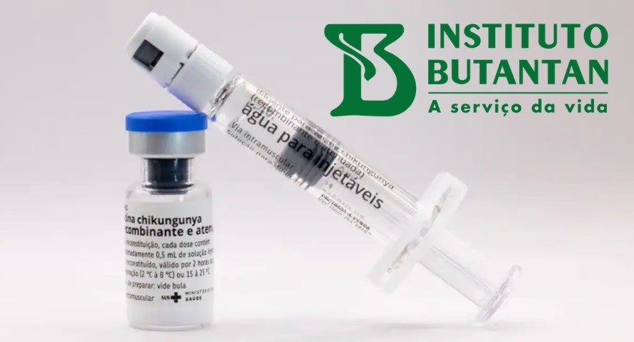 Butantan vai produzir vacina nacional contra chikungunya