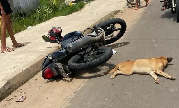Jovem empina moto, tenta fugir de abordagem, atropela cachorro e acaba preso em Itaquiraí